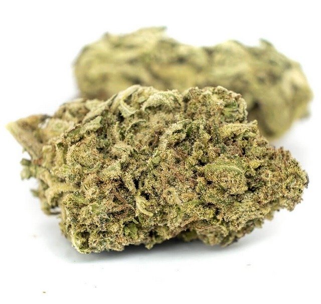 Buy-Girl-Scout-Cookies-Strain-UK-1.jpg